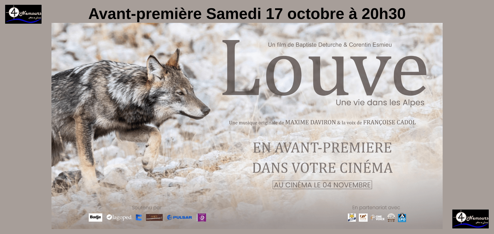 actualité AVP LOUVE