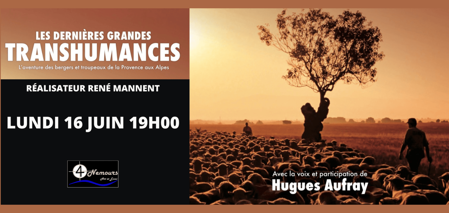 actualité TRANSHUMANCE